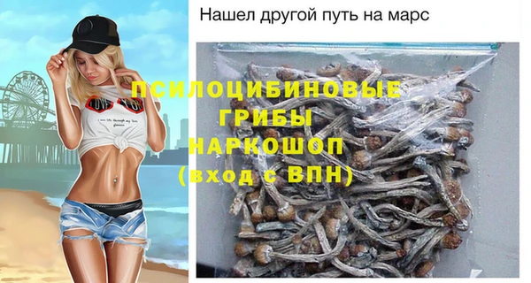 гидра Беломорск