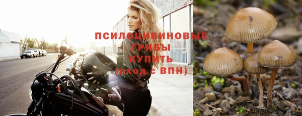 гидра Беломорск