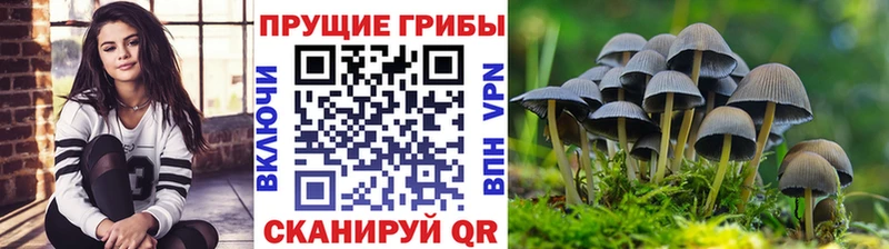 даркнет сайт  Монино  Галлюциногенные грибы MAGIC MUSHROOMS 
